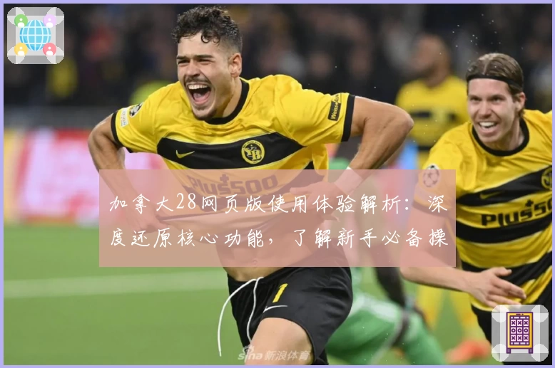 加拿大28网页版使用体验解析:深度还原核心功能,了解新手必备操作技巧