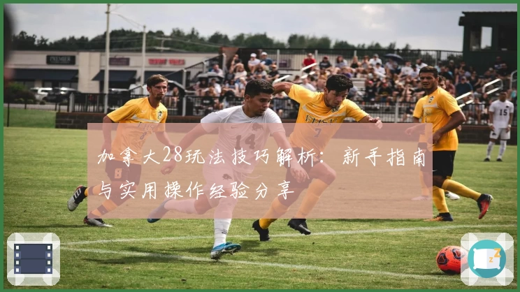 加拿大28玩法技巧解析：新手指南与实用操作经验分享