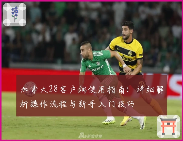 加拿大28客户端使用指南：详细解析操作流程与新手入门技巧
