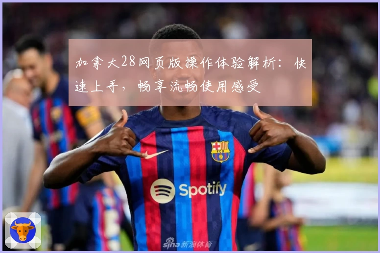 加拿大28网页版操作体验解析：快速上手，畅享流畅使用感受