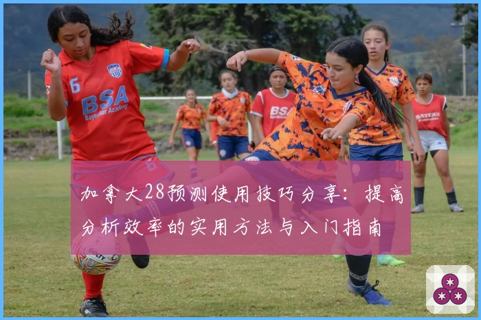 加拿大28预测使用技巧分享：提高分析效率的实用方法与入门指南