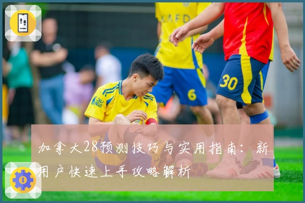 加拿大28预测技巧与实用指南:新用户快速上手攻略解析