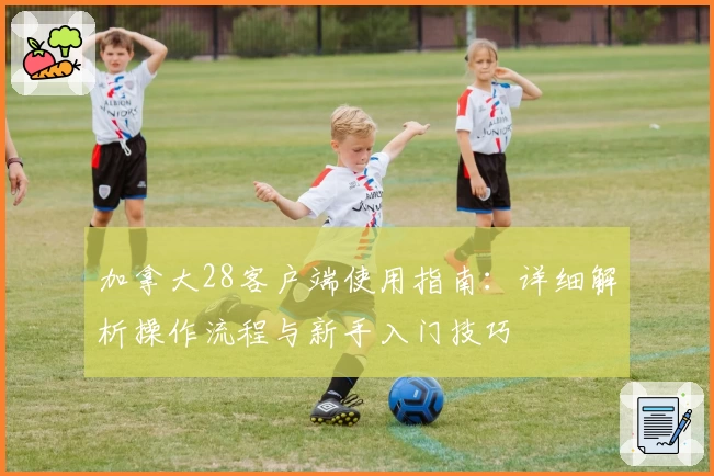 加拿大28客户端使用指南：详细解析操作流程与新手入门技巧