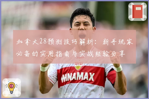 加拿大28预测技巧解析：新手玩家必备的实用指南与实战经验分享