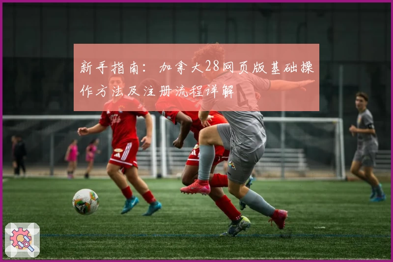 新手指南：加拿大28网页版基础操作方法及注册流程详解