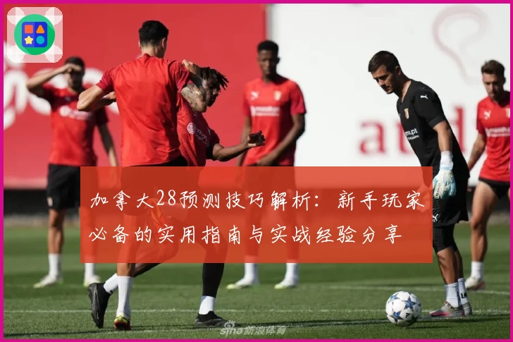 加拿大28预测技巧解析：新手玩家必备的实用指南与实战经验分享