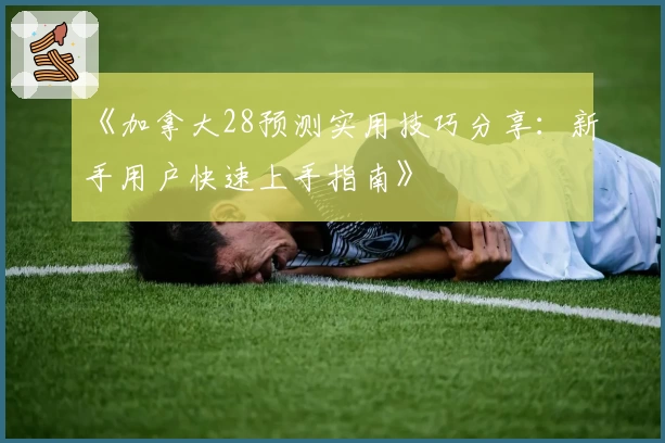 《加拿大28预测实用技巧分享：新手用户快速上手指南》