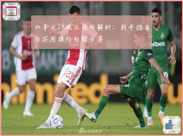 加拿大28玩法技巧解析：新手指南与实用操作经验分享