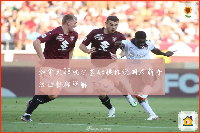 加拿大28玩法基础操作说明及新手注册教程详解